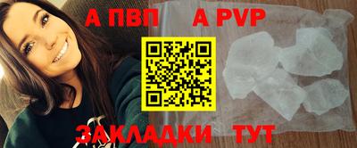 крисы Вязьма