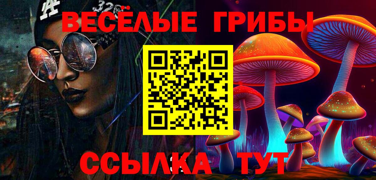 Псилоцибиновые грибы GOLDEN TEACHER Партизанск