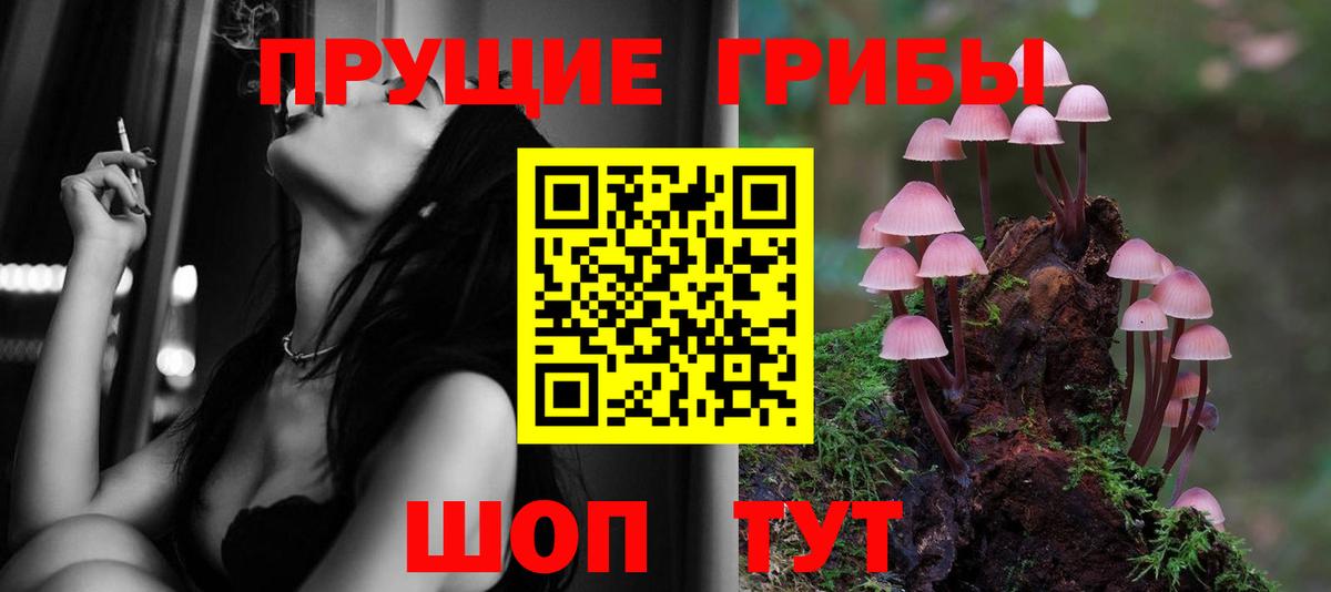 Партизанск  Галлюциногенные грибы Psilocybine cubensis  Вход с VPN 